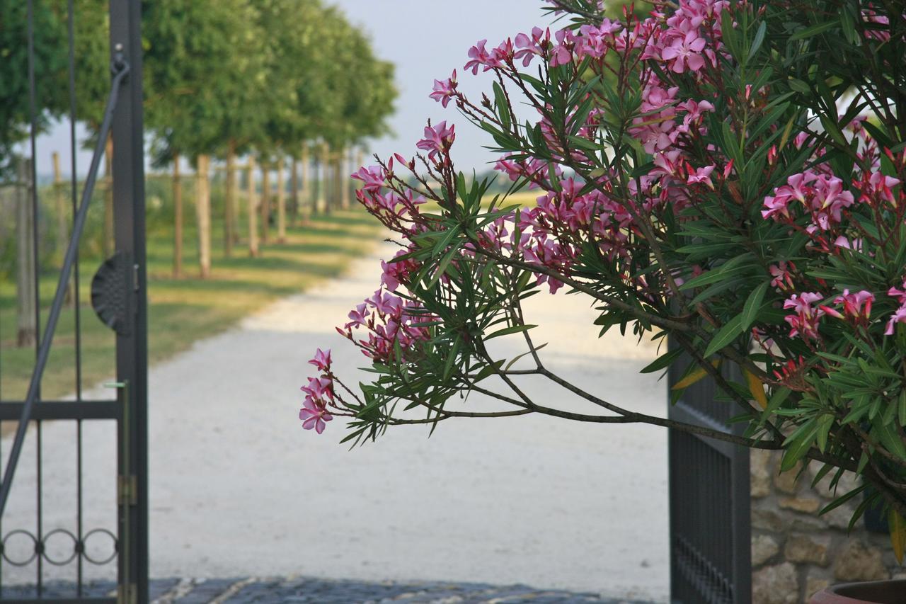 Gau-Odernheim Gutshof Rebblute B&B 외부 사진